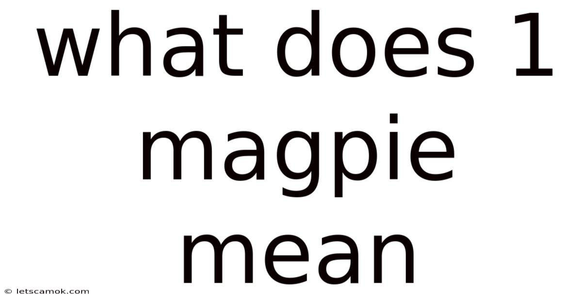 What Does 1 Magpie Mean