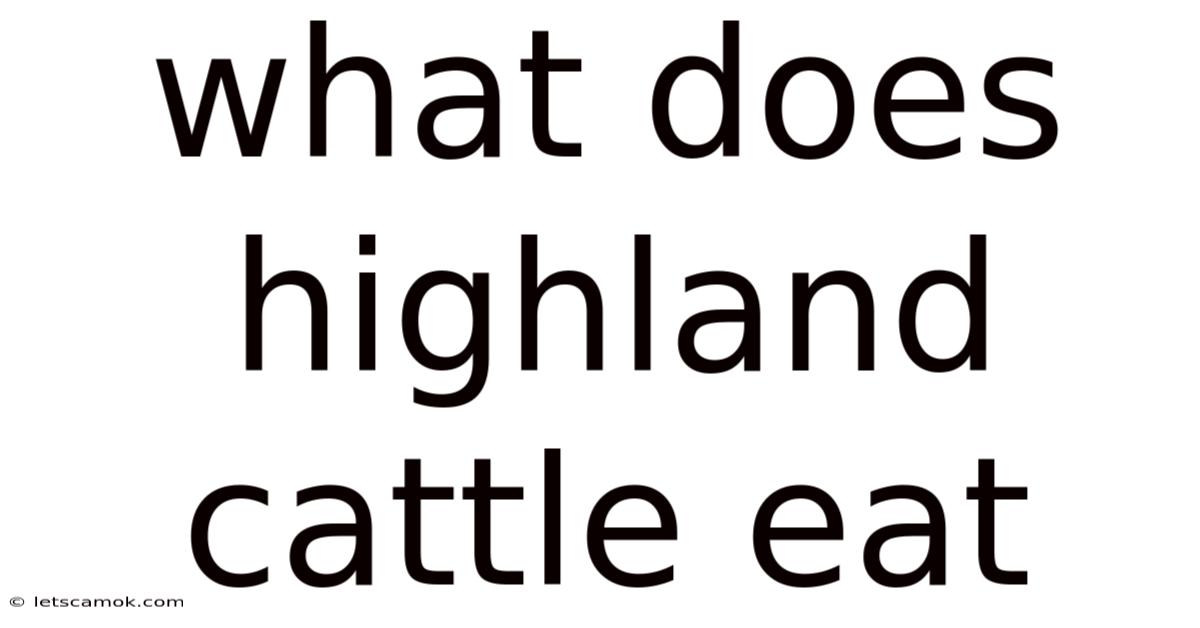 What Does Highland Cattle Eat