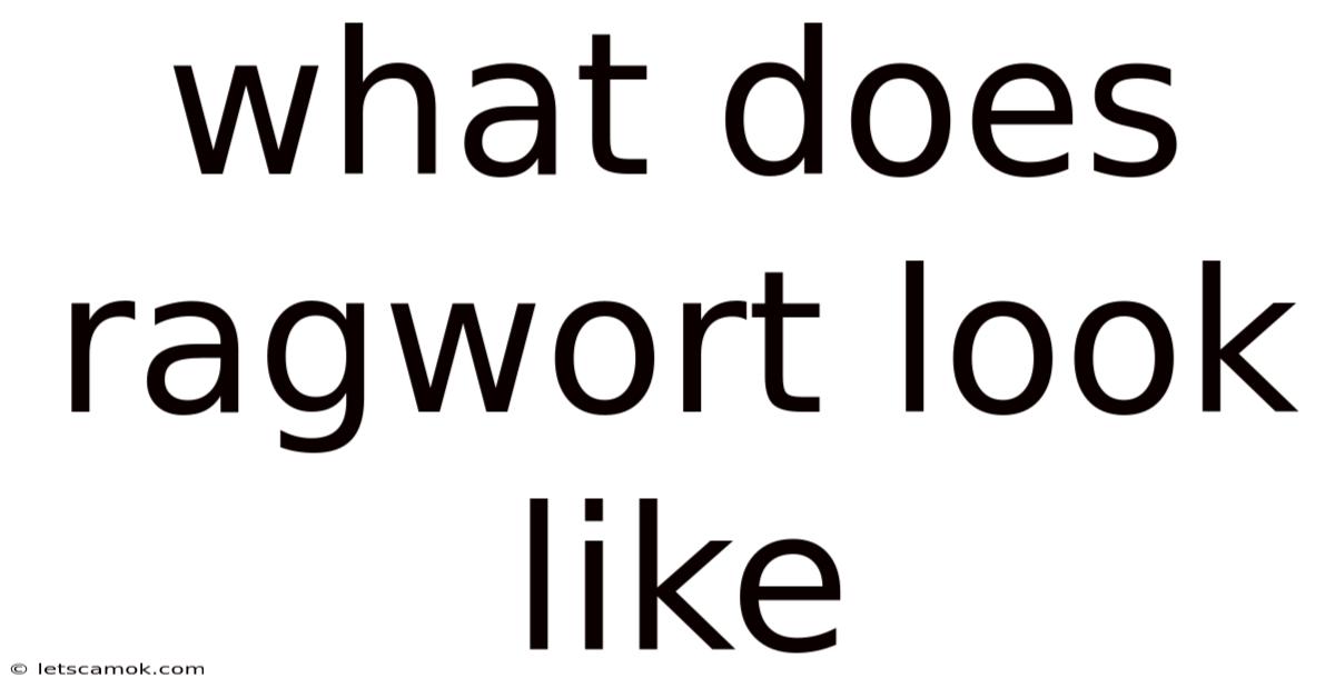 What Does Ragwort Look Like