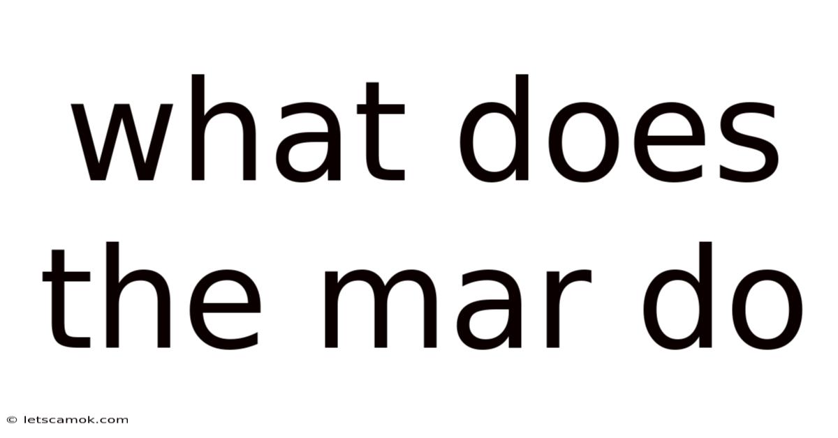 What Does The Mar Do