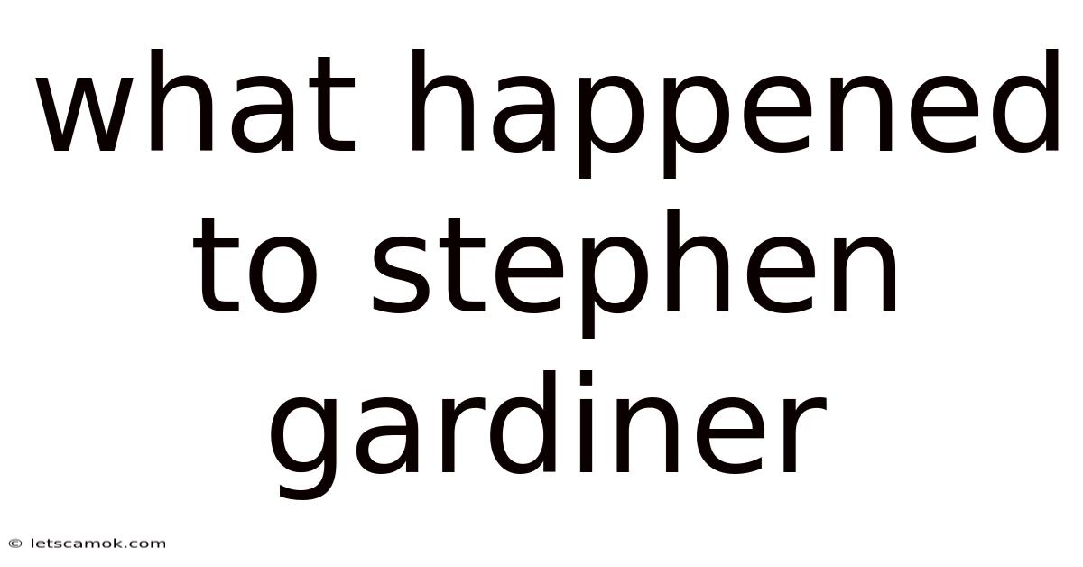 What Happened To Stephen Gardiner