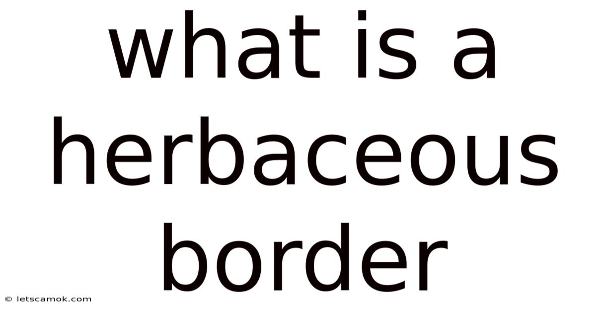 What Is A Herbaceous Border