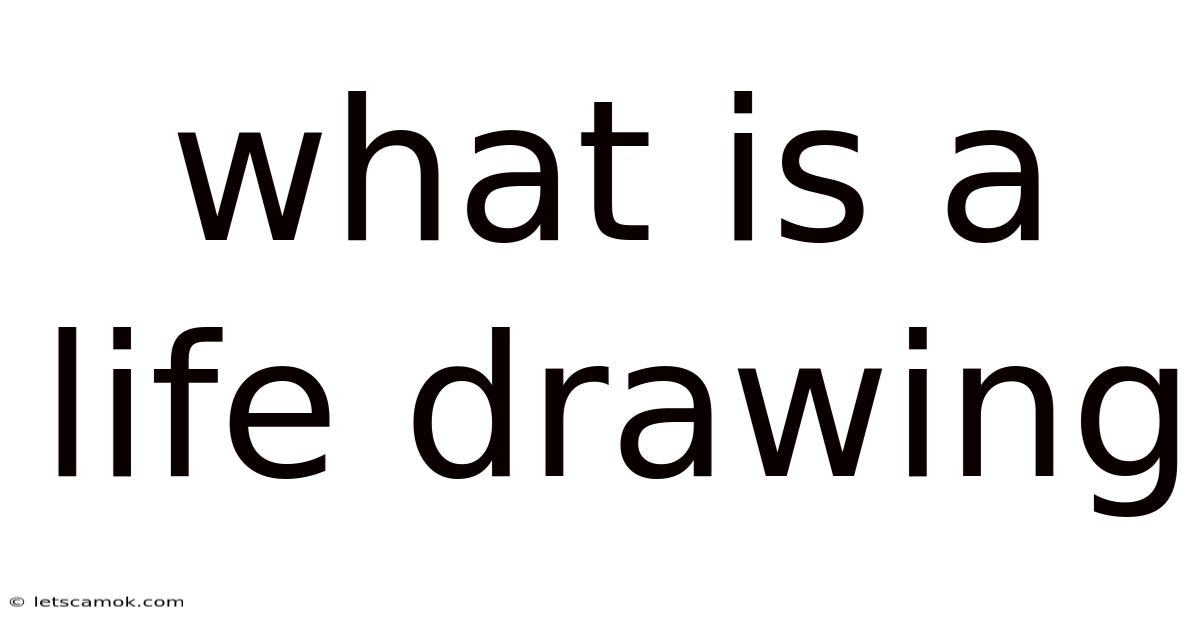 What Is A Life Drawing