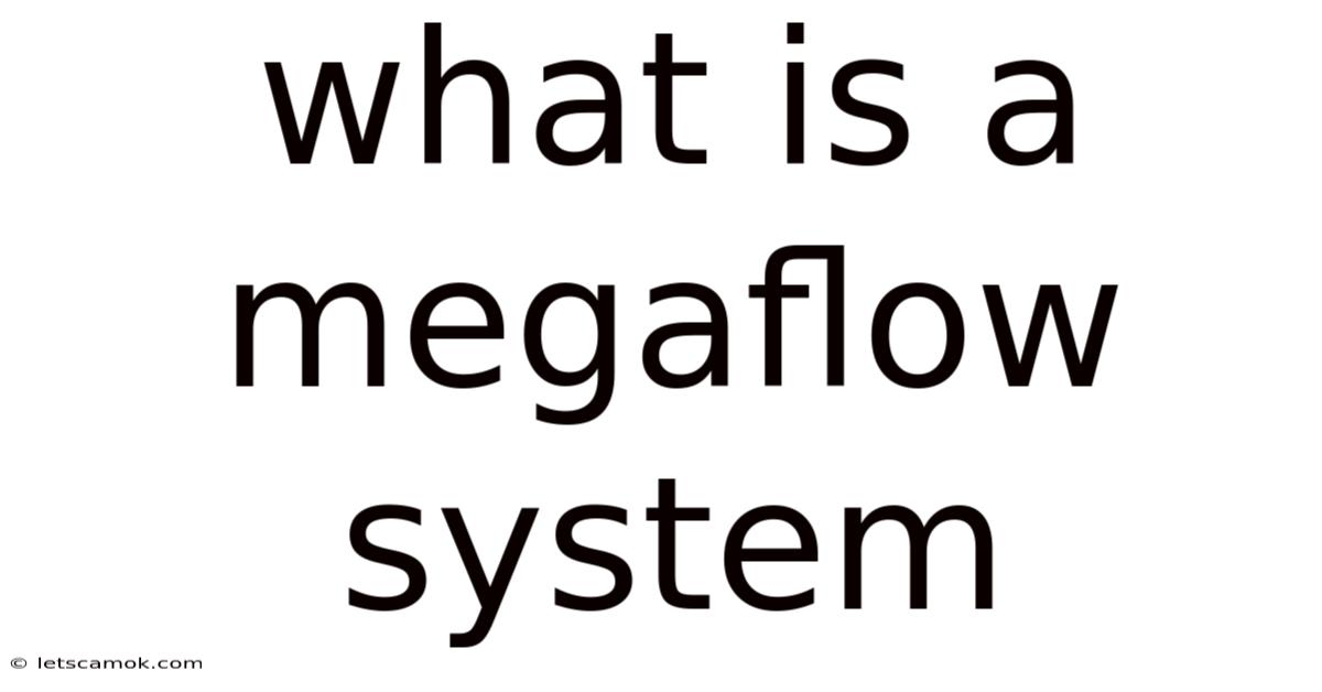 What Is A Megaflow System