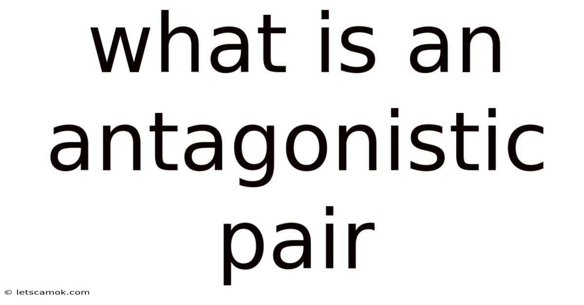 What Is An Antagonistic Pair