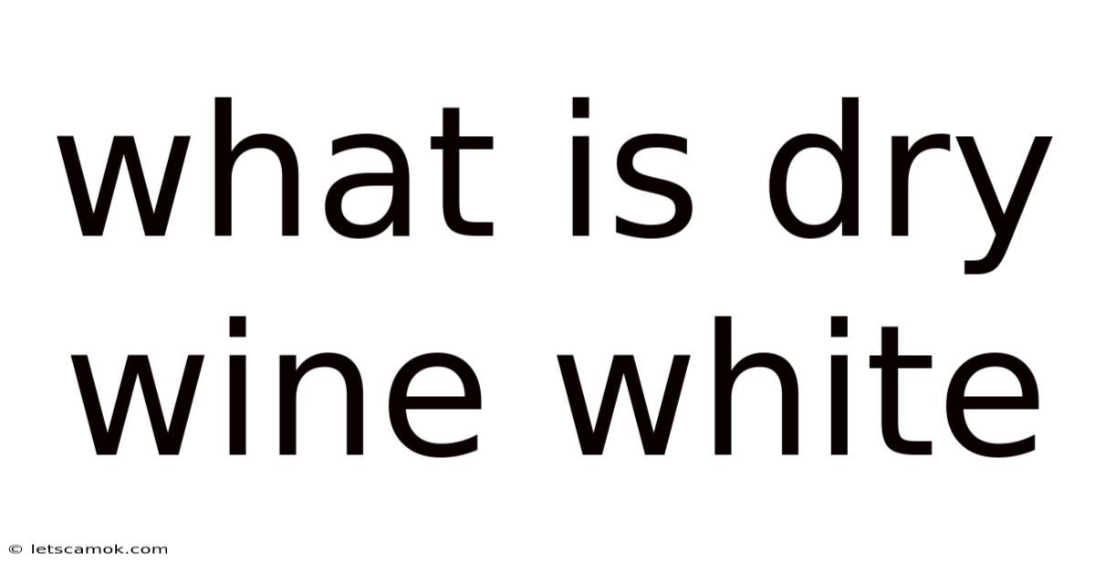 What Is Dry Wine White