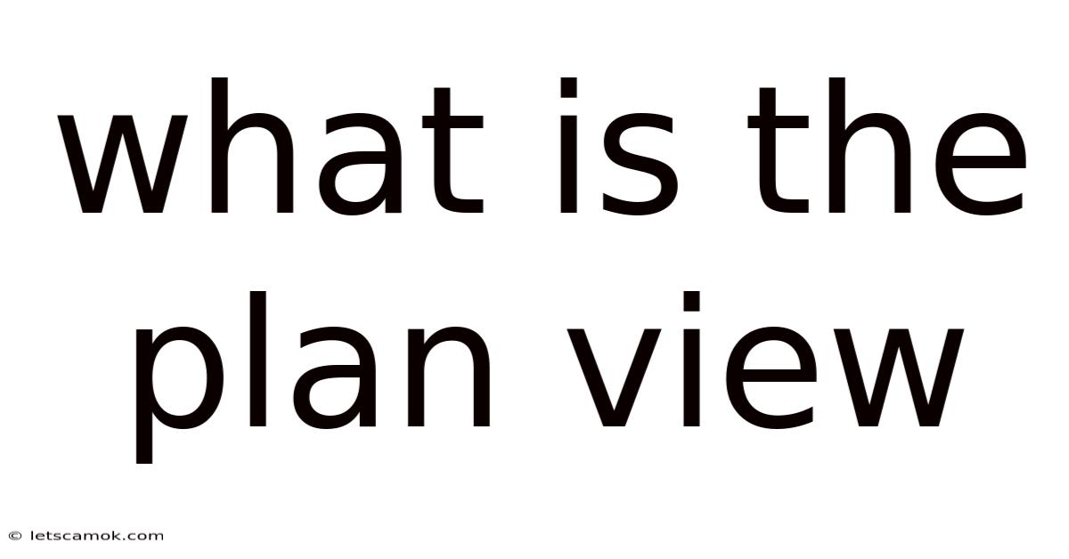 What Is The Plan View