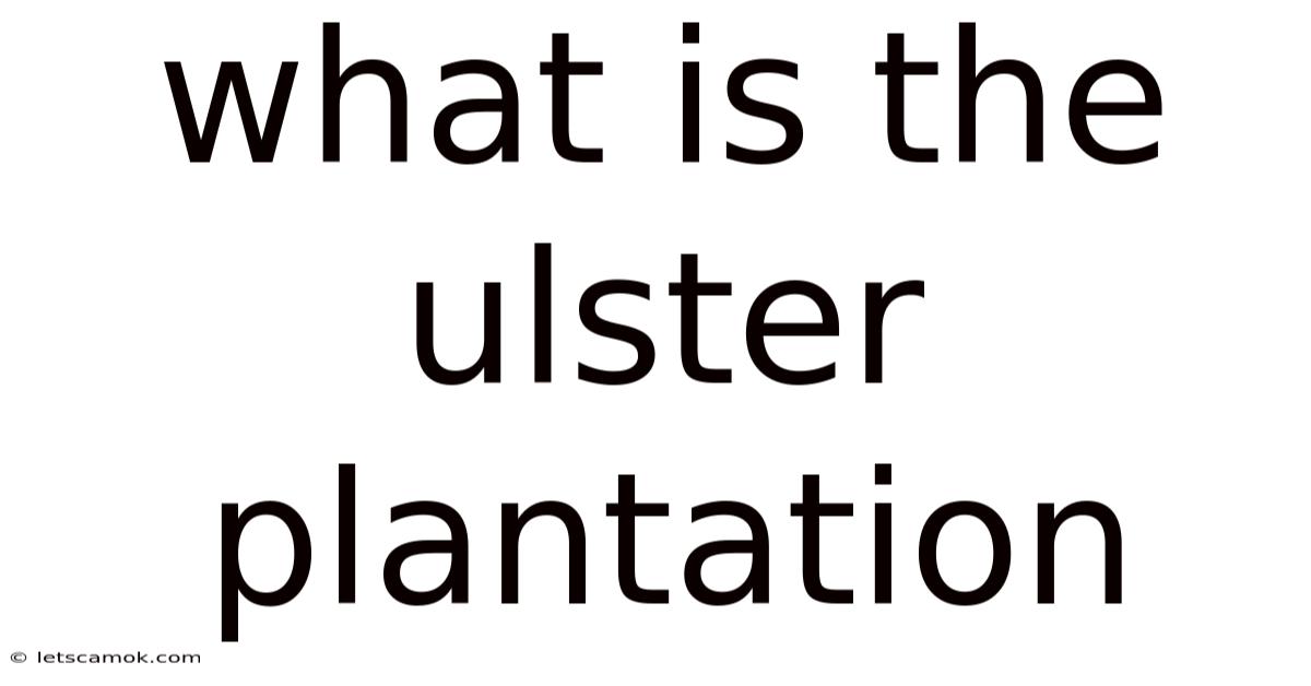 What Is The Ulster Plantation