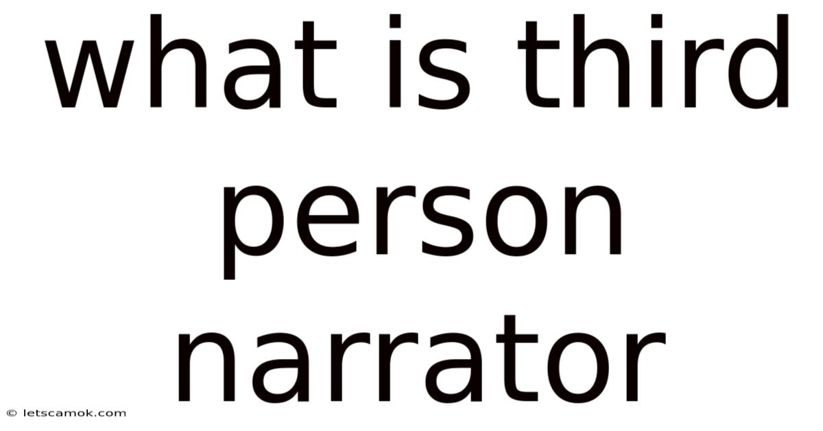 What Is Third Person Narrator