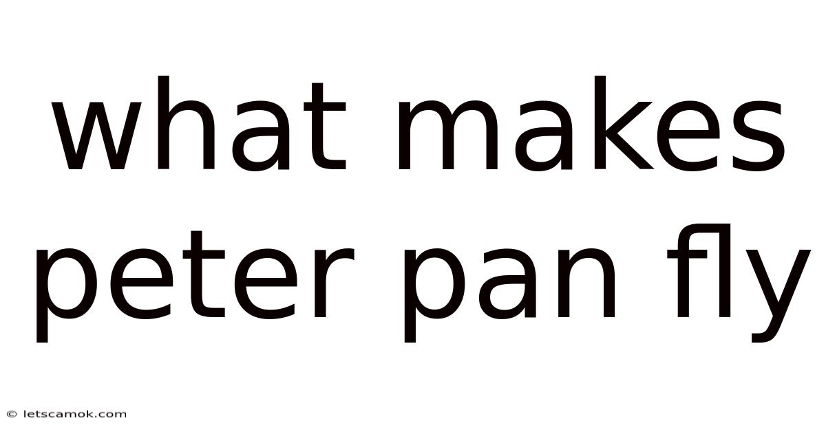 What Makes Peter Pan Fly