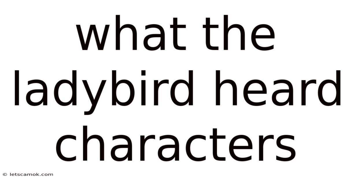 What The Ladybird Heard Characters