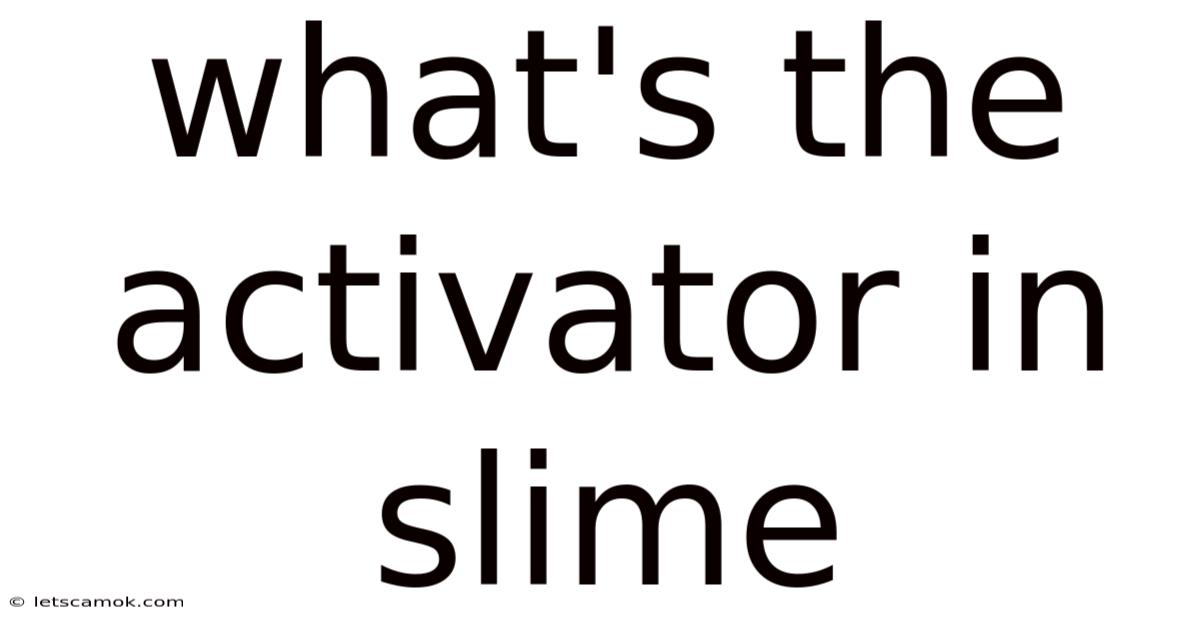 What's The Activator In Slime