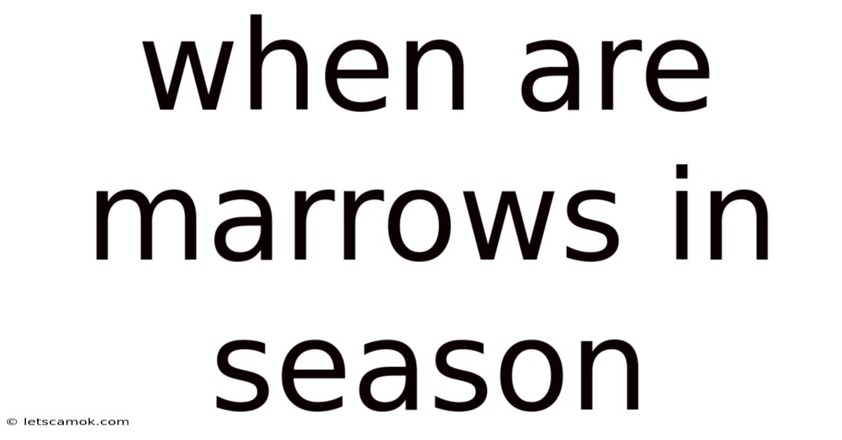 When Are Marrows In Season