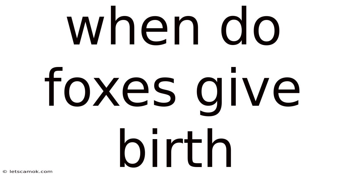 When Do Foxes Give Birth