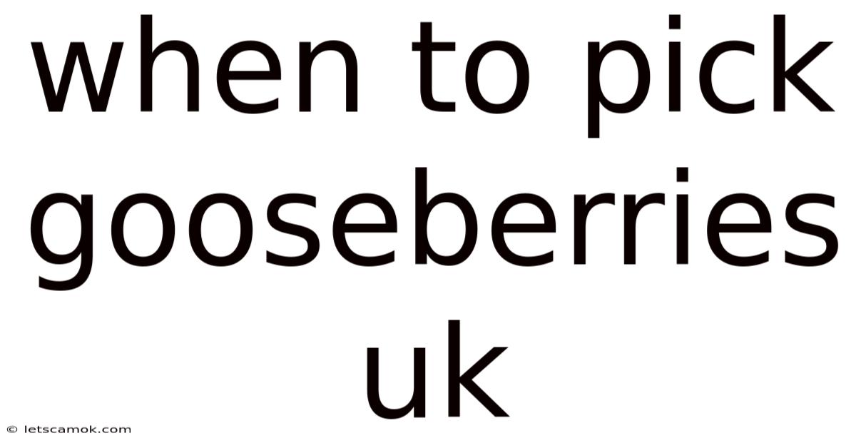 When To Pick Gooseberries Uk