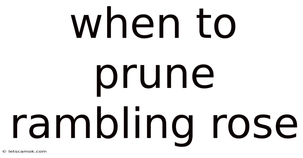 When To Prune Rambling Rose