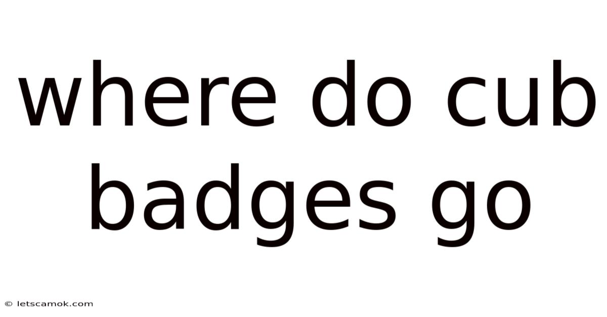 Where Do Cub Badges Go