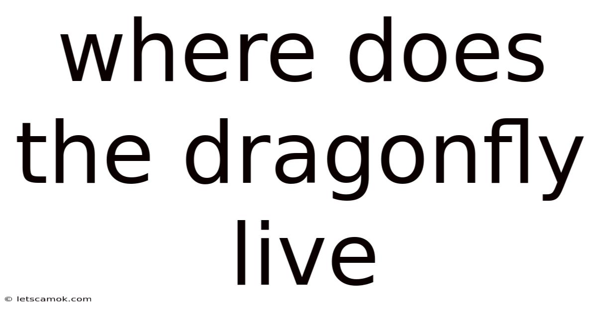 Where Does The Dragonfly Live
