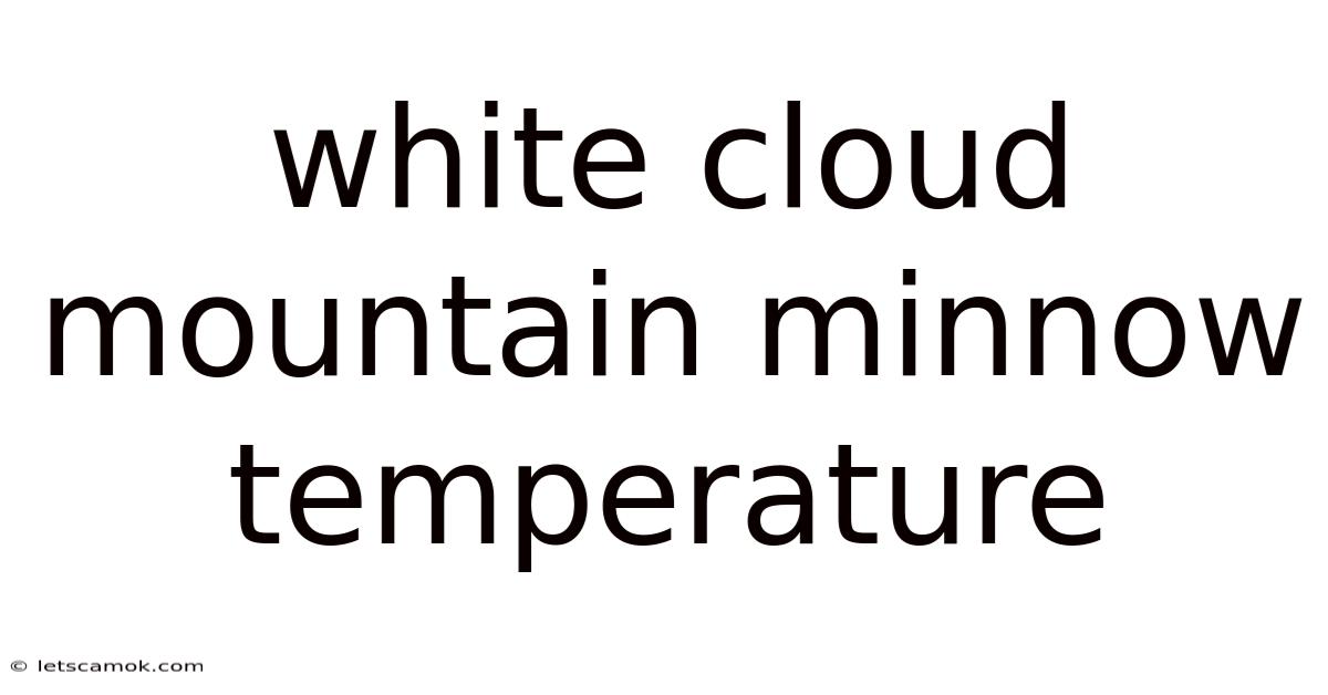 White Cloud Mountain Minnow Temperature