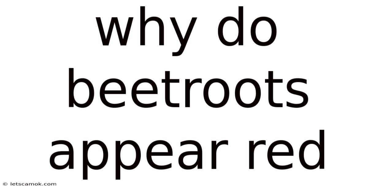 Why Do Beetroots Appear Red