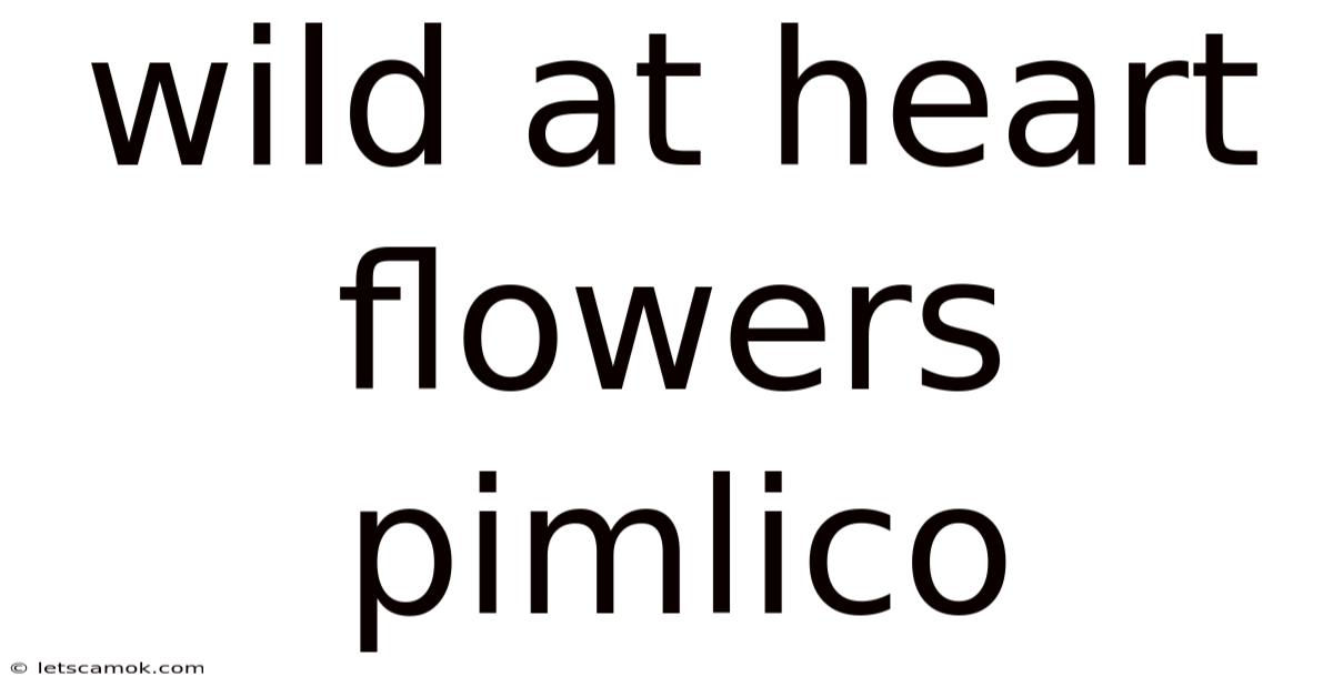 Wild At Heart Flowers Pimlico