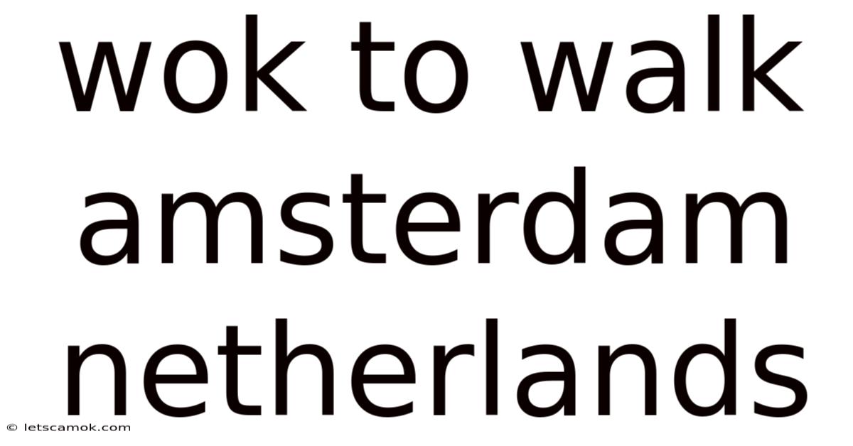 Wok To Walk Amsterdam Netherlands