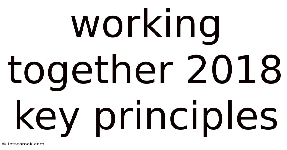 Working Together 2018 Key Principles
