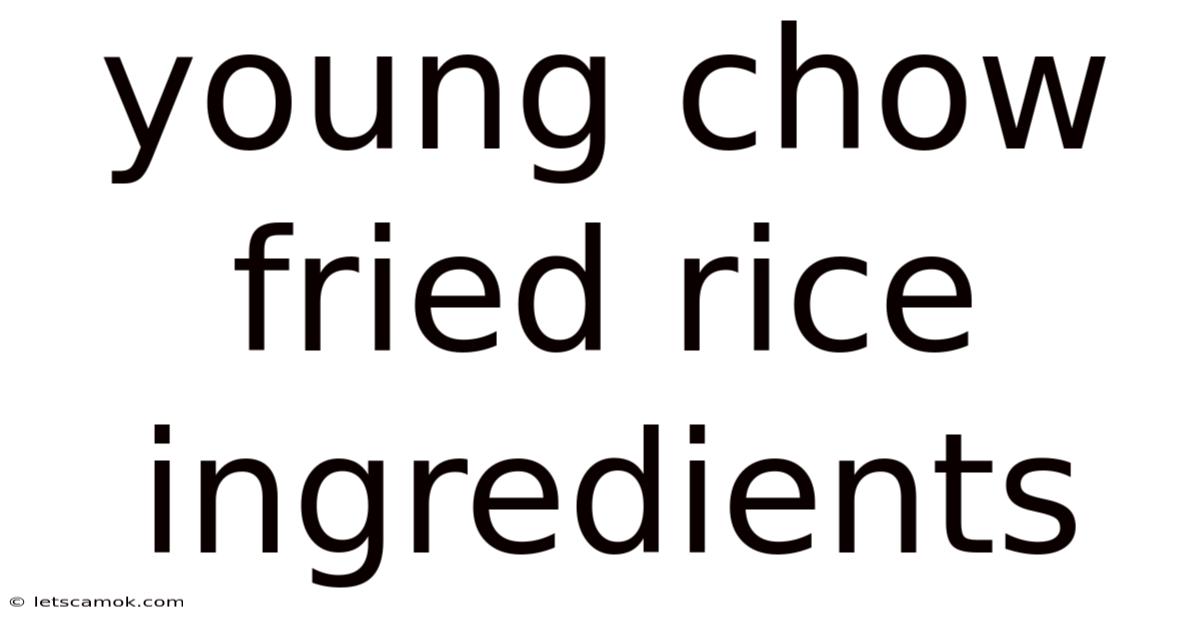 Young Chow Fried Rice Ingredients