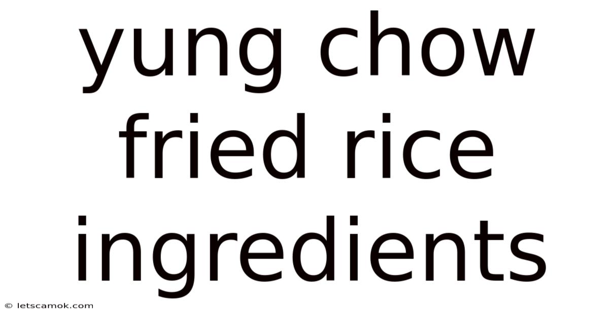 Yung Chow Fried Rice Ingredients